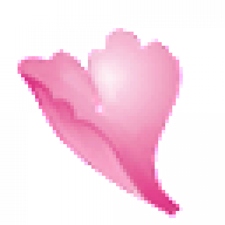 petal3.png