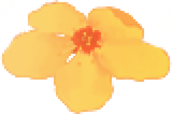 ermj_win_h1.png