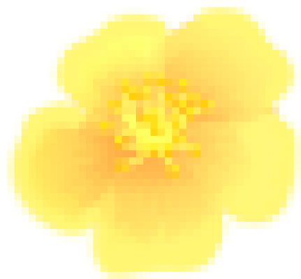 ermj_win_lizi.png