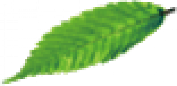 particle_texture.png