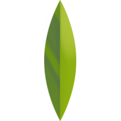 p_leaf2 copy.png