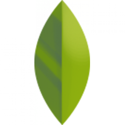 p_leaf2_2.png