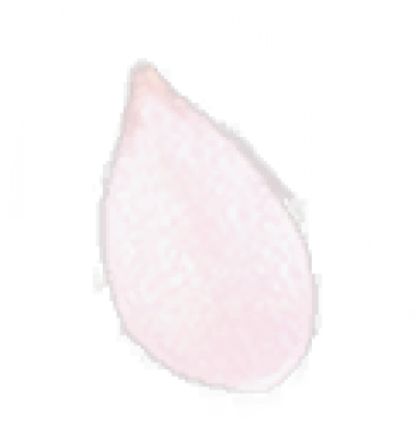 飘雪.png