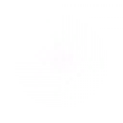 lizi3.png