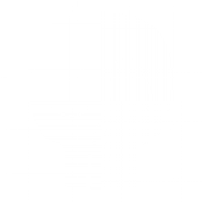 CFXM2_T_Skull.png