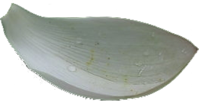 未标题-2.png