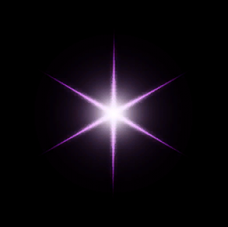 flower_white.png