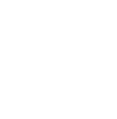 dian.png