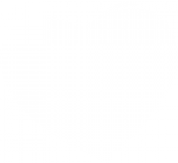 xinxing.png