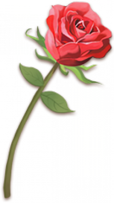 hua.png
