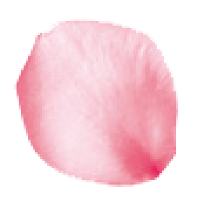 Flower4.png