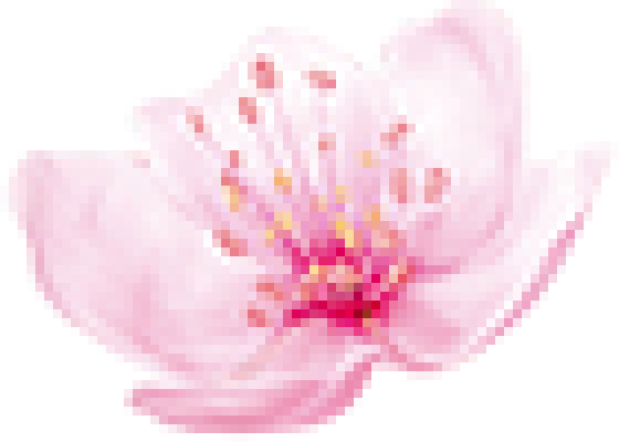 图层669.png
