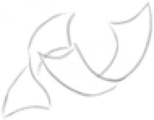 tt.png