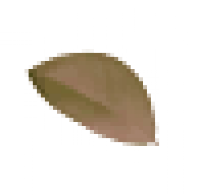 leaf.png