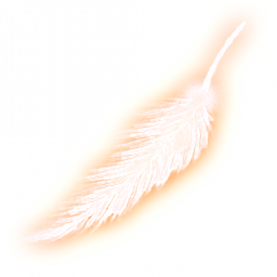 Feather_01.png