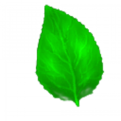 yz2.png