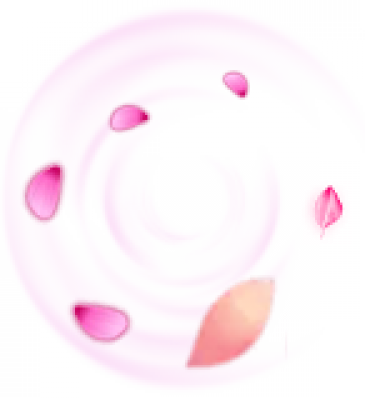 333.png
