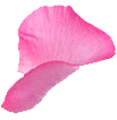 petal_2.png