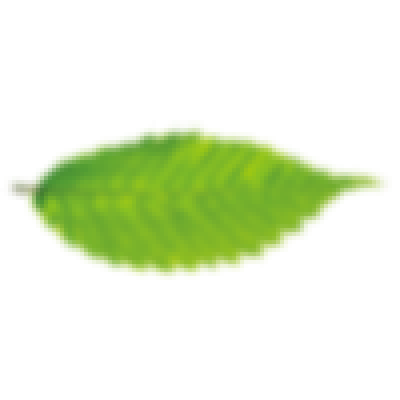 yz1.png
