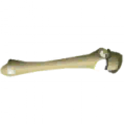 骨1.png