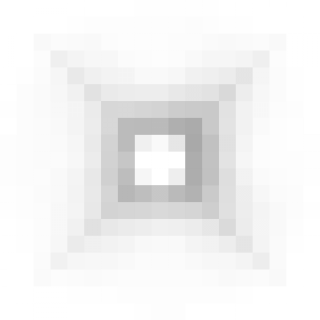 金星星.png