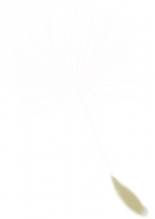 pugongying.png