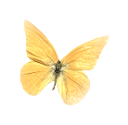 particle_xiaoxm3.png