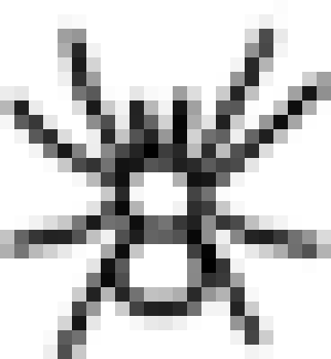 昆虫-蜘蛛1.png
