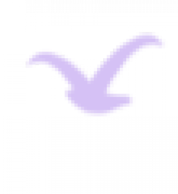 单只鸟_67.png