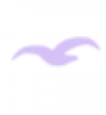 单只鸟_65.png
