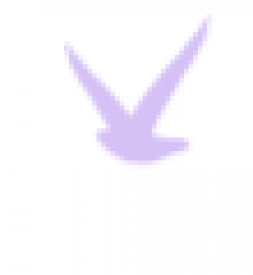 单只鸟_68.png