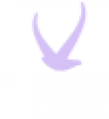 单只鸟_69.png