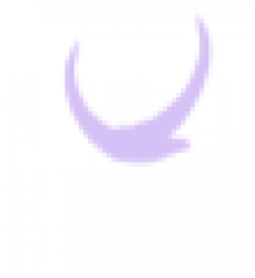 单只鸟_70.png
