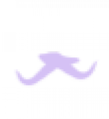 单只鸟_73.png