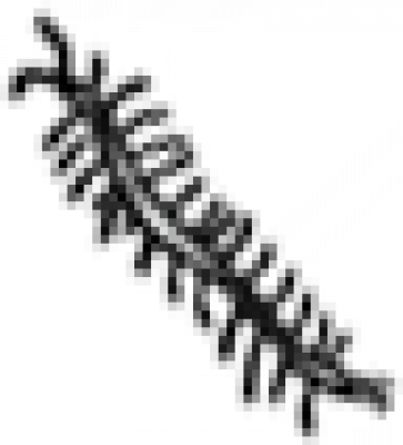 昆虫-蜈蚣.png