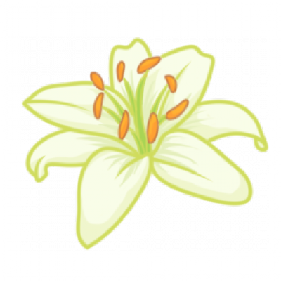 huaban13_.png
