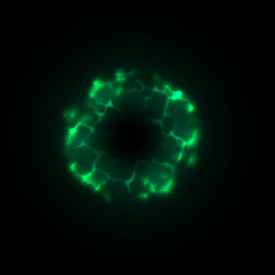 glow_00096.png