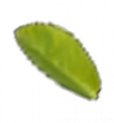 leaf1.png