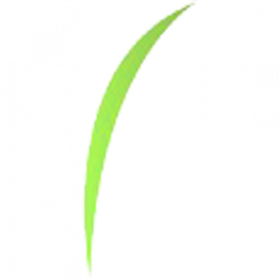 xc2.png