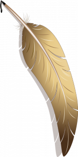 66.png