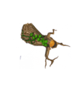 collectWood-02.png