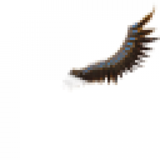 et_alliance_flag002_02.png