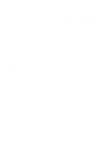 22222222222222.png