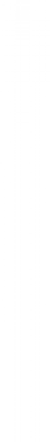 line4.png