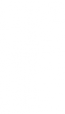A7.png