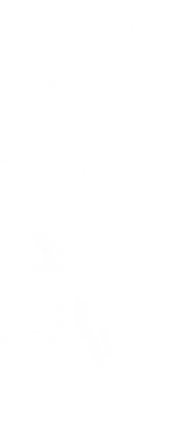 A8.png