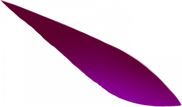 未标题-21.png