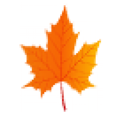11.png