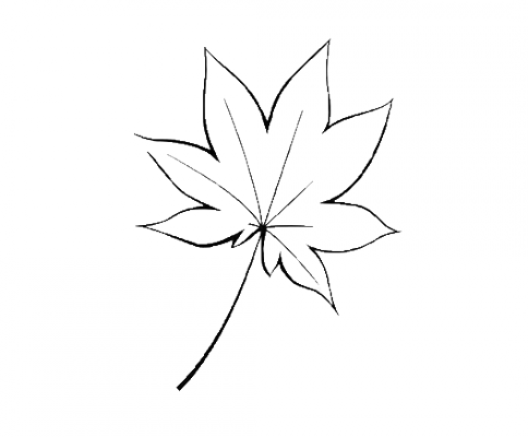 fengye.png