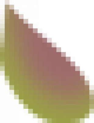 4.png